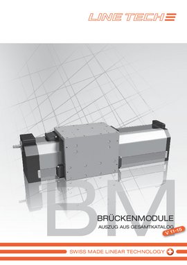 Brückenmodule BM Brückenmodule BM